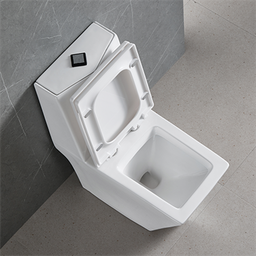Vaso Sanitário Monobloco Completo - Caixa Acolpada com Assento Cor Branco - 5