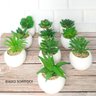 Suculenta Artificial Mini Vaso de Cerâmica Redondo - 3