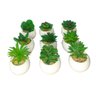 Suculenta Artificial Mini Vaso de Cerâmica Redondo - 1