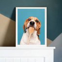 Ver imagem 2 de Quadro Fotografia Cachorro Na Cozinha 24x18cm - com vidro:Madeira preta