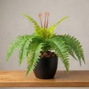 Ver imagem 4 de Kit 2 Samambaias Artificial 40cm Planta Permanente em Silicone para Decoração
