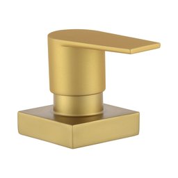 Acabamento de Registro Alavanca Dourado Fosco Padrão Docol - 3