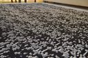 Ver imagem 6 de Tapete Monterey Millennium Absolut 100x150 cm