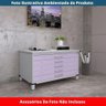 Mapoteca 5 Gavetas Pandin 120 Cm (larg) Inmetro Tampo Mdp Cinza Estrutura Aço Cinza Gavetas Lilás - 5