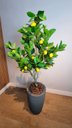 Ver imagem 2 de Planta Artificial Limoeiro 1,20m Kit com Vaso Cinza 40cm