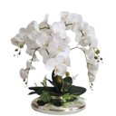 Ver imagem 1 de Arranjo Grande 6 Flor de Orquídeas Real Branca Vaso Espelho