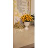Arranjo De Girassol Vaso Decorativo Com Girassóis Festa - 5