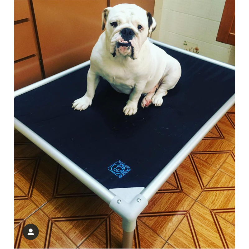 Cama para Cachorro Grande 109x78cm G Alumínio Tecido Azul Impermeável até 50kg Resistente - 2