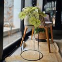 Ver imagem 3 de Vaso com Suporte Cônico 60cm para Chão Decoração