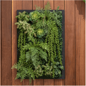 Folhagem Artificial Placa Mix de Suculentas Verde 65x45cm