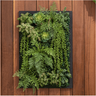 Folhagem Artificial Placa Mix de Suculentas Verde 65x45cm - 1