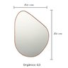 Espelho Orgânico com Moldura Rose Gold - 0,60 X 0,80 modelo orgânico G3 - 9