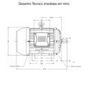 Ver imagem 4 de Motor Elétrico Trifásico Weg Ie3 15cv 220/380/440v 4 Polos Baixa Rotação W22 Ir3 Premium Trifásico S