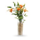 Ver imagem 5 de Vaso Tubo Cilindro Vidro Decorativo 40CMX14CM 3,8 Litros