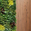 Ver imagem 1 de Muro Inglês Artificial 0,5m² Jardim Vertical Realista Proteção UV Resistente Sol e Chuva