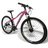 Bicicleta Aro 29 Drais 24v Chillout Shimano Tourney Pink/Roxo 15" - 351 - 4