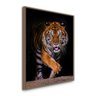 QUADRO DECORATIVO TIGRE DE BENGALA CAMINHANDO:Madeira - 1