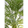 Árvore Planta Samambaiaçu 230cm (36 Folhas) Grande Luxo - 2