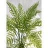 Árvore Planta Samambaiaçu 230cm (36 Folhas) Grande Luxo - 3