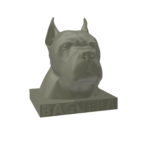 Cane Corso Personalizado Decoração 3d:dourado