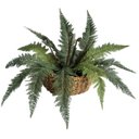 Ver imagem 7 de Uma Folhagem Decorativa Planta Artificial para Jardim Vertical Realista