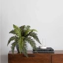 Ver mais imagens de Uma Folhagem Decorativa Planta Artificial para Jardim Vertical Realista