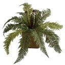 Ver imagem 6 de Uma Folhagem Decorativa Planta Artificial para Jardim Vertical Realista