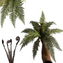 Ver imagem 1 de Uma Folhagem Decorativa Planta Artificial para Jardim Vertical Realista