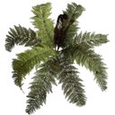 Ver imagem 4 de Uma Folhagem Decorativa Planta Artificial para Jardim Vertical Realista