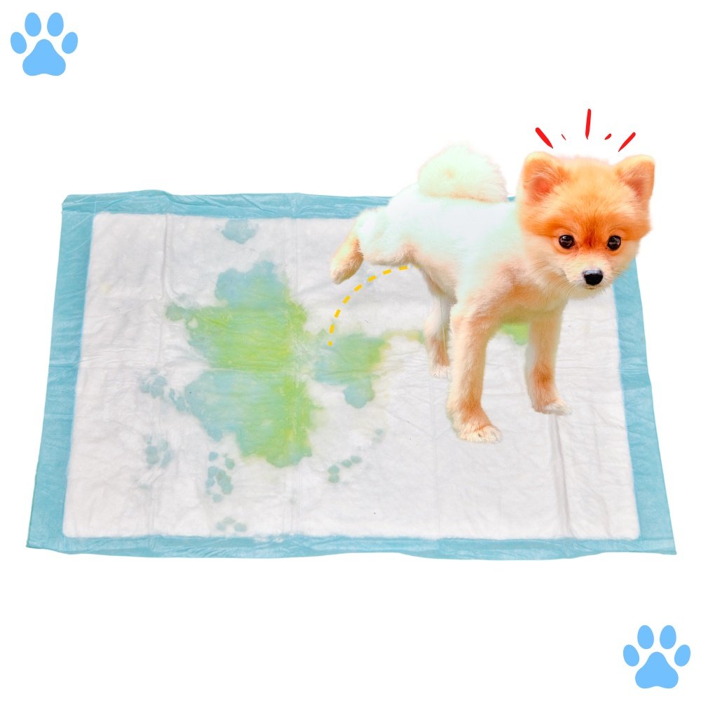 Combo 10pct Tapete Higienico Good Pad Cães 80x60cm 300 Uni - 4