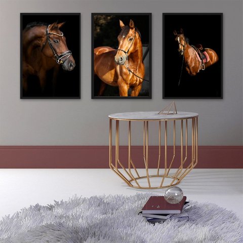 Kit 3 Quadros Fotografias Cavalos 45x34cm:madeira Branca