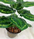 Ver imagem 2 de Folhagem Planta Verde Tinhorão 12 Folhas 53cm Artificial