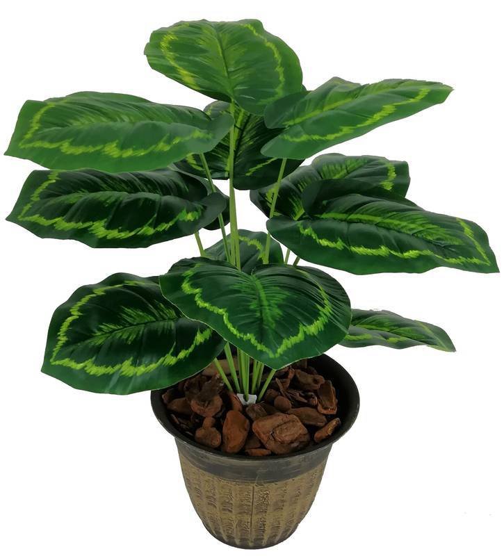 Folhagem Planta Verde Tinhorão 12 Folhas 53cm Artificial