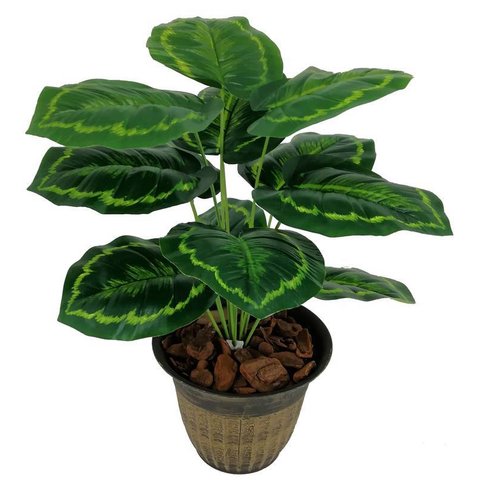 Folhagem Planta Verde Tinhorão 12 Folhas 53cm Artificial