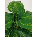 Ver imagem 4 de Folhagem Planta Verde Tinhorão 12 Folhas 53cm Artificial