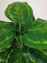 Ver imagem 4 de Folhagem Planta Verde Tinhorão 12 Folhas 53cm Artificial