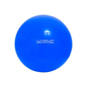 Bola Suiça Pilates Yoga Ginastica 65 Cm + Dvd