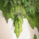 Ver imagem 5 de Placa de Musgo Plissado Jardim Artificial Verde Decoração