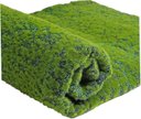 Ver imagem 1 de Placa de Musgo Plissado Jardim Artificial Verde Decoração
