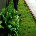 Ver imagem 4 de Placa de Musgo Plissado Jardim Artificial Verde Decoração