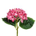 Ver imagem 1 de Hortênsia Rosa Pink Haste 32x18cm Flor Planta Artificial