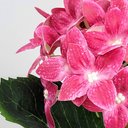 Ver imagem 3 de Hortênsia Rosa Pink Haste 32x18cm Flor Planta Artificial