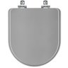 Assento Sanitário Soft Close San Remo Cinza Plus para Vaso Hervy - 1