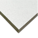 Ver imagem 1 de Forro de Fibra Mineral Amf Topiq Prime 1250 X 625 X 15mm (caixa)