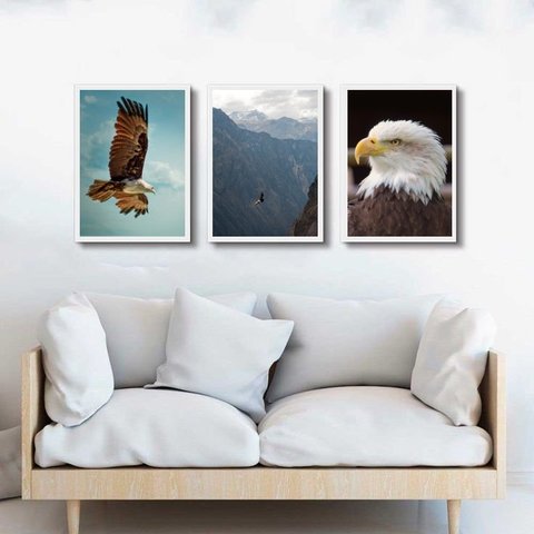 Kit 3 Quadros Fotografias Águia 24x18cm - com Vidro:madeira Preta