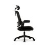 Cadeira de Escritório Ergonômica Elements Astra Preto - 3