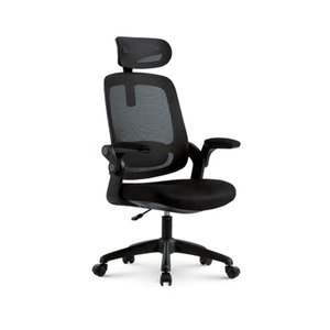 Cadeira de Escritório Ergonômica Elements Astra Preto