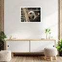 Ver imagem 1 de Quadro Decorativo Bola Futebol Rede - 50x70cm:moldura Preta