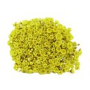 Ver imagem 1 de 600 Sempre Viva Florzinha Amarelo I Flores Desidratadas