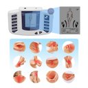 Ver imagem 6 de Massageador Aparelho Acupuntura Digital Muscular Terapia Elétrico Relaxamento